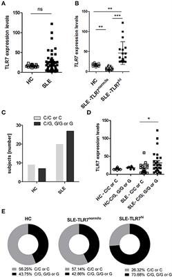 High TLR7 Expression Drives the Expansion of CD19+CD24hiCD38hi Transitional B Cells and Autoantibody Production in SLE Patients